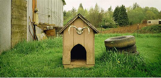 《夜店高手之御女心经》来了！新版渣男模拟器，一起当撩妹高手去